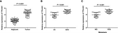 Silencing of the Long Non-Coding RNA TTN-AS1 Attenuates the Malignant Progression of Osteosarcoma Cells by Regulating the miR-16-1-3p/TFAP4 Axis